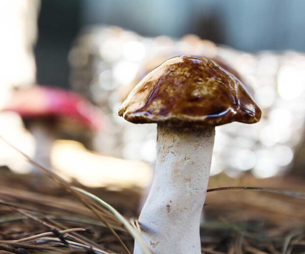 Grzyb ceramiczny "Maślak" mały